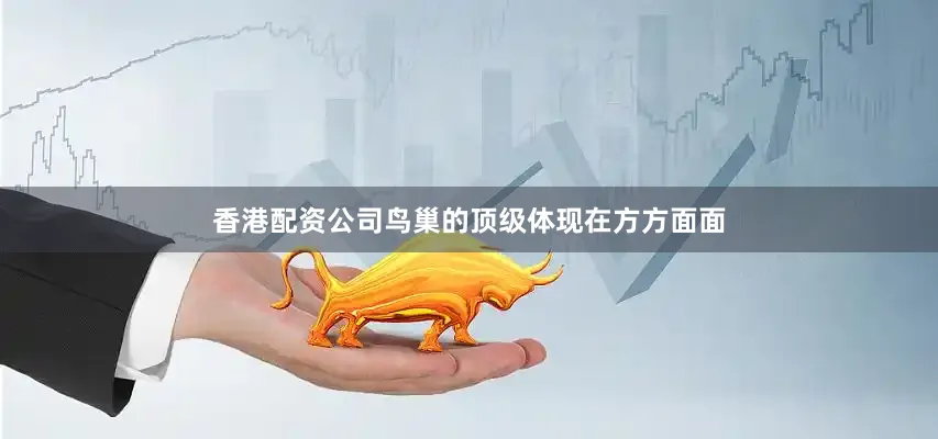 香港配资公司鸟巢的顶级体现在方方面面