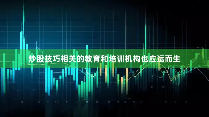 炒股技巧相关的教育和培训机构也应运而生